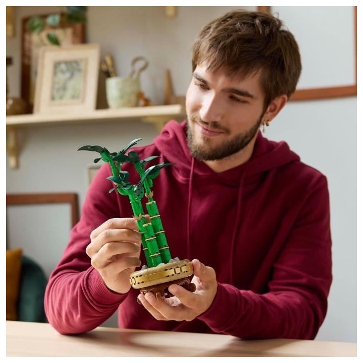 LEGO Botanique 10344 Le bambou de la chance - Plante artificielle et décoration intérieure LEGO Botanique 10344 Le bambou de la chance - Plante artificielle et décoration intérieure