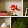 LEGO Botanicals 10348 Bonsai d'Érable Rouge du Japon - Kit de Constru
