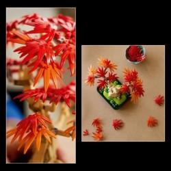LEGO Botanicals 10348 Bonsai d'Érable Rouge du Japon - Kit de Constru