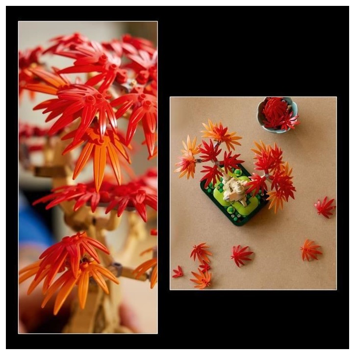 LEGO Botanicals 10348 Bonsai d'Érable Rouge du Japon - Kit de Construction pour Adulte LEGO Botanicals 10348 Bonsai d'Érable Rouge du Japon - Kit de Construction pour Adulte