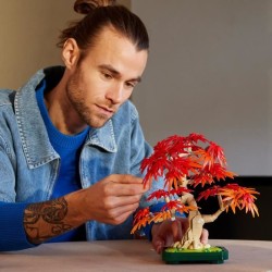 LEGO Botanicals 10348 Bonsai d'Érable Rouge du Japon - Kit de Constru