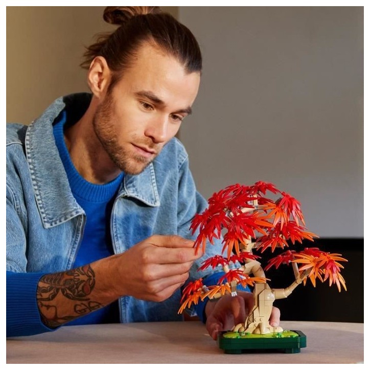LEGO Botanicals 10348 Bonsai d'Érable Rouge du Japon - Kit de Construction pour Adulte LEGO Botanicals 10348 Bonsai d'Érable Rouge du Japon - Kit de Construction pour Adulte