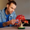 LEGO Botanicals 10348 Bonsai d'Érable Rouge du Japon - Kit de Constru