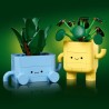 LEGO Botanicals 10349 Petites Plantes Souriantes - Jeu de Construction