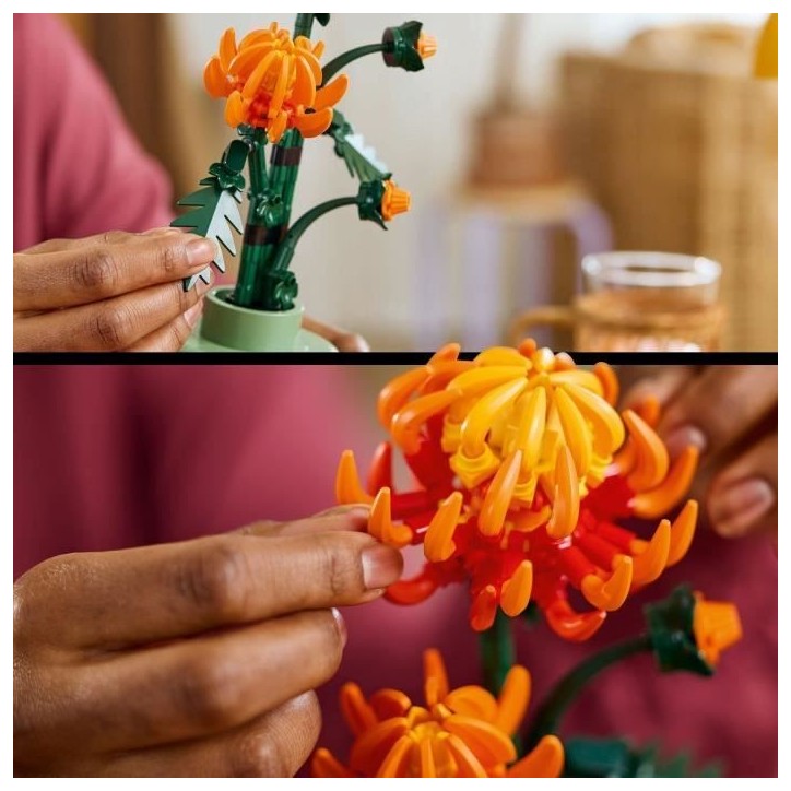 LEGO Icons 10368 Le Chrysantheme - Set de Décoration Florale a Construire Pour Adultes LEGO Icons 10368 Le Chrysantheme - Set de Décoration Florale a Construire Pour Adultes
