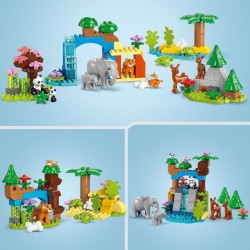 LEGO DUPLO Ma ville 10446 Familles d'animaux sauvages 3-en-1 - Jeux d'