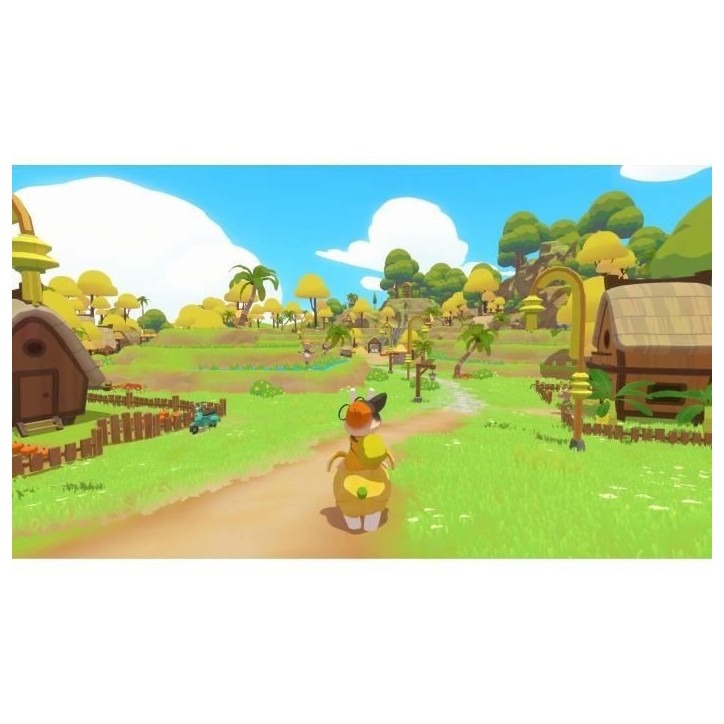 Petit Island - Jeu PS5