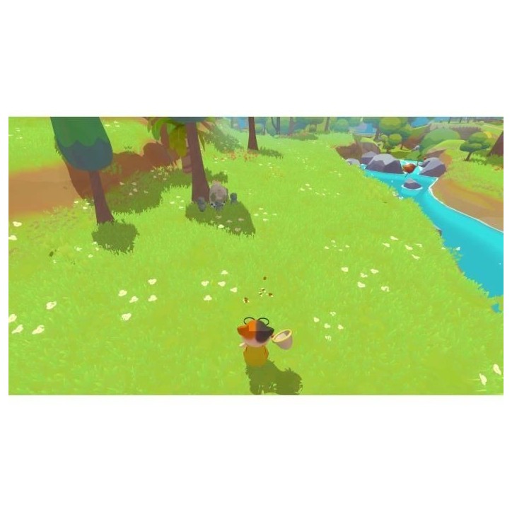 Petit Island - Jeu PS5