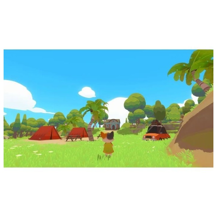 Petit Island - Jeu PS5