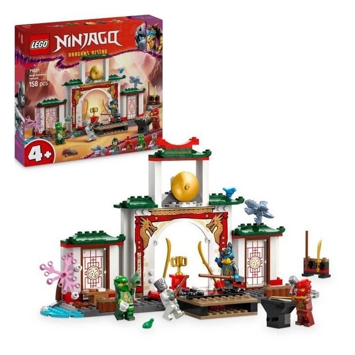 LEGO NINJAGO 71831 Le temple de Spinjitzu des Ninjas - Jouet dragon pour enfants des 4 ans LEGO NINJAGO 71831 Le temple de Spinjitzu des Ninjas - Jouet dragon pour enfants des 4 ans