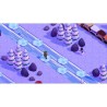 Winter Games Collection + Calendrier de l'Avent - Jeu Nintendo Switch