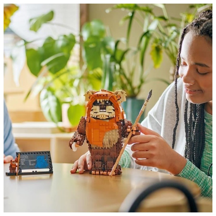 LEGO Star Wars™ 75430 Exclu Cdiscount Wicket l'Ewok™ LEGO Star Wars™ 75430 Exclu Cdiscount Wicket l'Ewok™