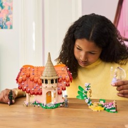 LEGO Wicked 75690 Glinda et Elphaba au Pays des Munchkins - Jeu de Con