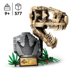 LEGO 76964 Jurassic World Les Fossiles de Dinosaures : Le Crâne du T.