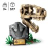 LEGO 76964 Jurassic World Les Fossiles de Dinosaures : Le Crâne du T.