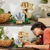 LEGO 76964 Jurassic World Les Fossiles de Dinosaures : Le Crâne du T.