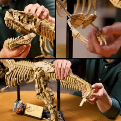 LEGO Jurassic World 76968 Exclu Cdiscount Les Fossiles de Dinosaures :