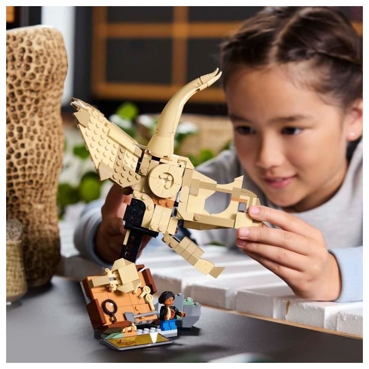LEGO Jurassic World 76969 Les fossiles de dinosaures : le crâne du tricératops - Jeu 9 ans LEGO Jurassic World 76969 Les fossiles de dinosaures : le crâne du tricératops - Jeu 9 ans