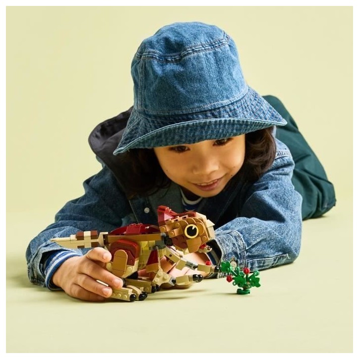 LEGO Jurassic World 76970 Dolores, le Bébé Aquilops - Jeu de Construction des 7 ans LEGO Jurassic World 76970 Dolores, le Bébé Aquilops - Jeu de Construction des 7 ans