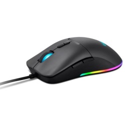 Souris Lenovo M210