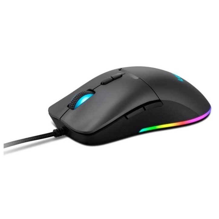 Souris Lenovo M210