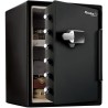 MASTER LOCK Coffre-fort ignifugé et résistant a l'eau (code tactile