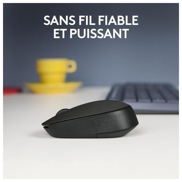 Souris - Sans Fil - Logitech - M171 - Noir - Ambidextre
