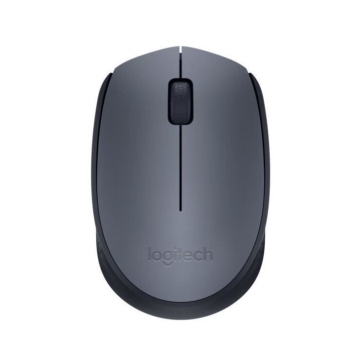 Souris - Sans fil - Logitech - M170 - Gris - Ambidextre