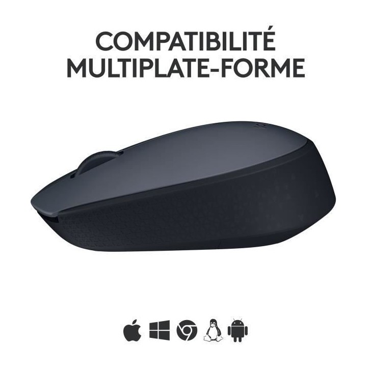 Souris - Sans fil - Logitech - M170 - Gris - Ambidextre