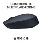 Souris - Sans fil - Logitech - M170 - Gris - Ambidextre