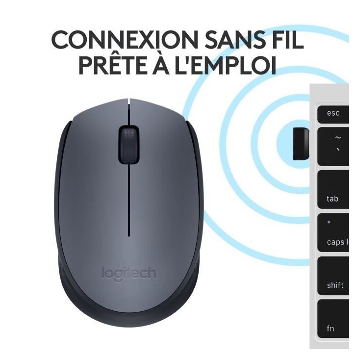 Souris - Sans fil - Logitech - M170 - Gris - Ambidextre