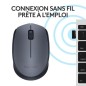 Souris - Sans fil - Logitech - M170 - Gris - Ambidextre