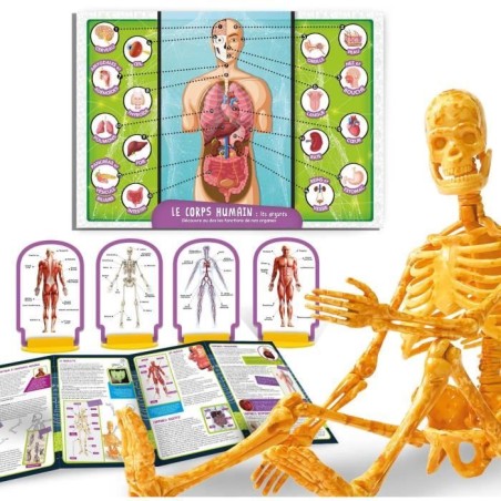 Découverte du corps humain - Kit Scientifique - I'M A GENIUS POCKET - Modele 3D