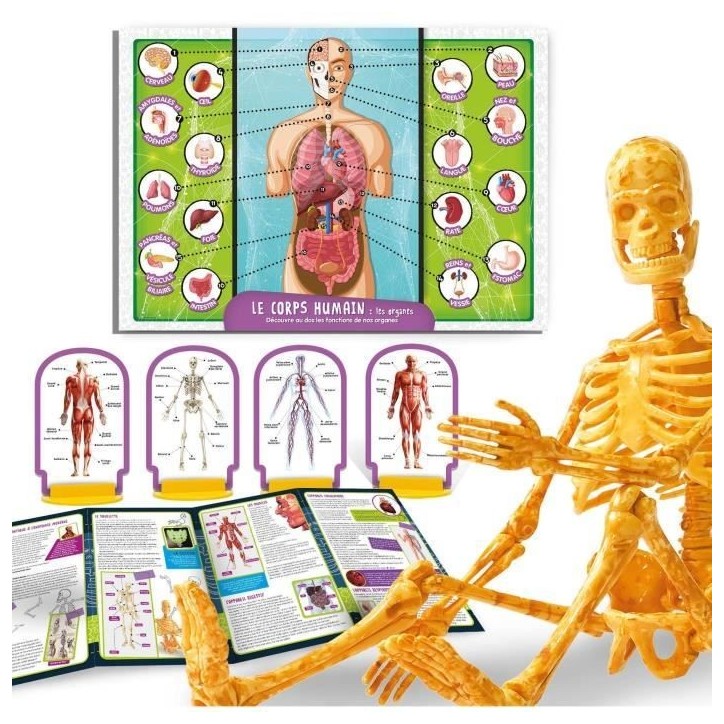 Découverte du corps humain - Kit Scientifique - I'M A GENIUS POCKET - Modele 3D