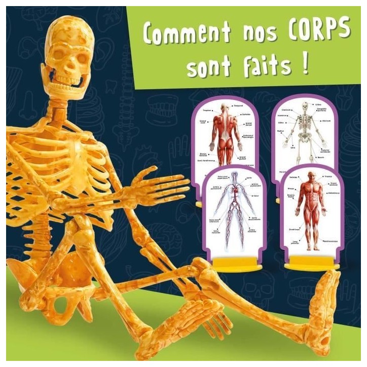 Découverte du corps humain - Kit Scientifique - I'M A GENIUS POCKET - Modele 3D