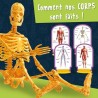 Découverte du corps humain - Kit Scientifique - I'M A GENIUS POCKET -