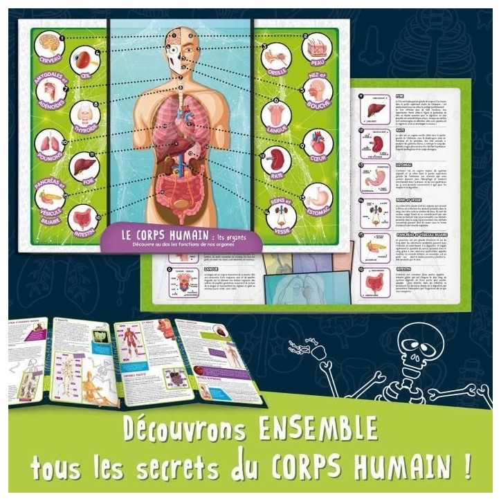 Découverte du corps humain - Kit Scientifique - I'M A GENIUS POCKET - Modele 3D