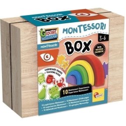 Jeu éducatif - LISCIANI - Montessori Box - La vue - Arc-en-ciel en bo