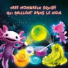 Créatures Fluo - Kit Scientifique - SLUMI SCIENCE - Composants Fluore
