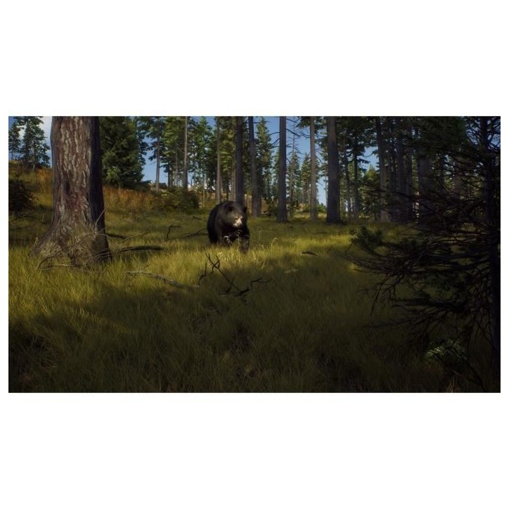 Way of the Hunter Wild Expeditions - Jeu PS5 Way of the Hunter Wild Expeditions - Jeu PS5