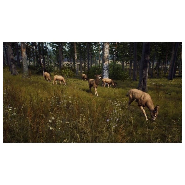 Way of the Hunter Wild Expeditions - Jeu PS5 Way of the Hunter Wild Expeditions - Jeu PS5