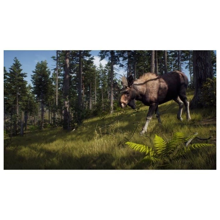 Way of the Hunter Wild Expeditions - Jeu PS5 Way of the Hunter Wild Expeditions - Jeu PS5
