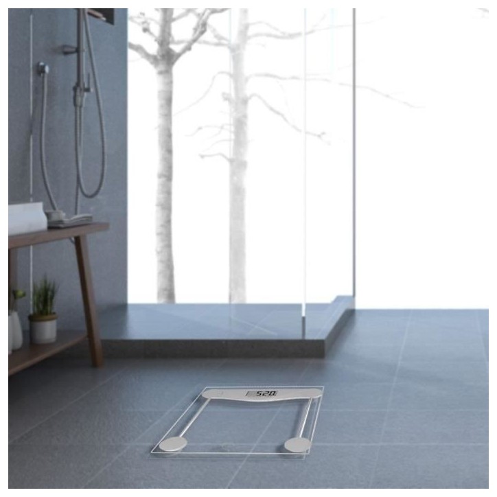 Balance électronique LITTLE BALANCE 8193 SB2 - Plateau verre trempé transparent - 160 kg / 100 g Balance électronique LITTLE BALANCE 8193 SB2 - Plateau verre trempé transparent - 160 kg / 100 g