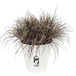 ELHO Lot de 2 pots de fleur rond Loft Urban - 19 L - Ø 28.5 x H 26