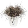 ELHO Lot de 2 pots de fleur rond Loft Urban - 19 L - Ø 28.5 x H 26