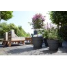 ELHO Lot de 2 pots de fleur rond avec soucoupes Vibia Campana + Loft