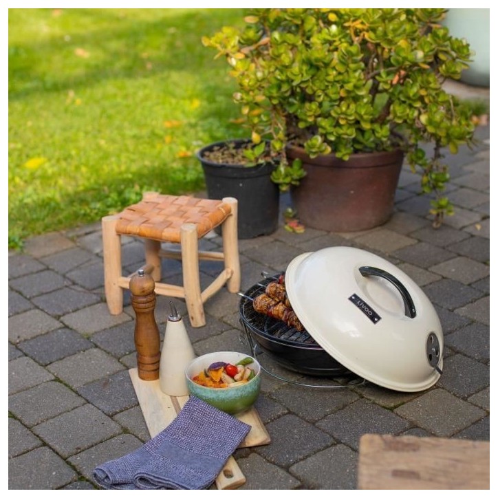 Barbecue a charbon portable - LIVOO - DOC301 - ø34 cm - Grille chromé - Hauteur 18 cm - Poignées - Loquets de sécurité Barbecue a charbon portable - LIVOO - DOC301 - ø34 cm - Grille chromé - Hauteur 18 cm - Poignées - Loquets de sécurité