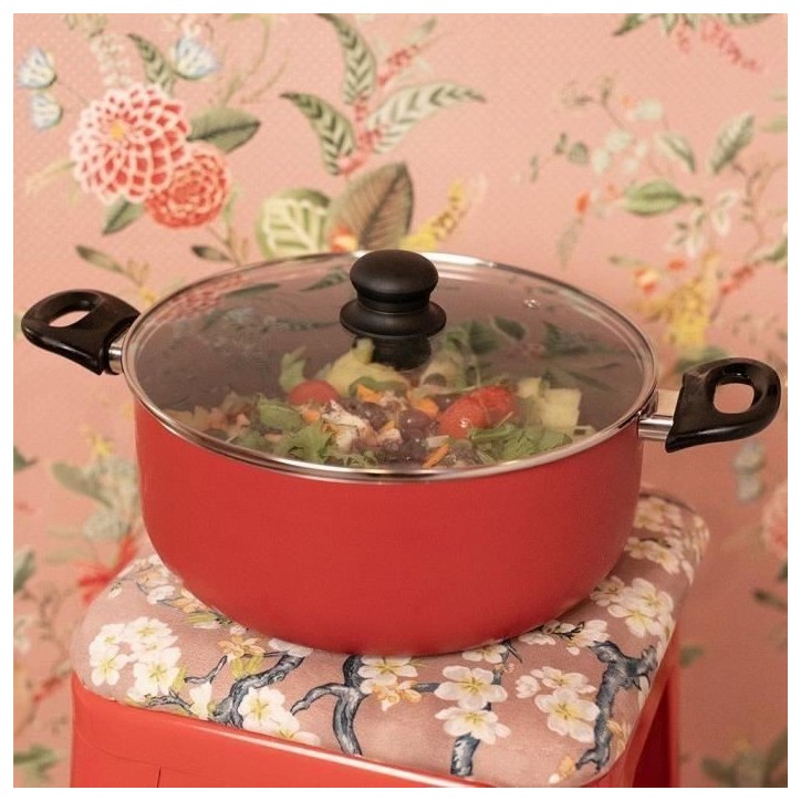 Faitout - LIVOO - MEP150R - 24 cm - Antiadhésif sans PFOA ni PFOS - Poignées silicone - Tous feux dont induction Faitout - LIVOO - MEP150R - 24 cm - Antiadhésif sans PFOA ni PFOS - Poignées silicone - Tous feux dont induction