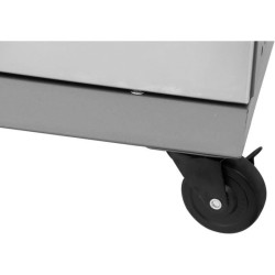 COOKING BOX Barbecue a gaz BRISBANE - Cuisine inox - 142x57x112 cm - S