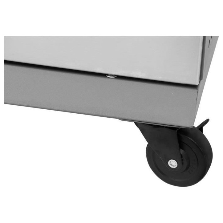 COOKING BOX Barbecue a gaz BRISBANE - Cuisine inox - 142x57x112 cm - Surface de cuisson : 70x42 cm - Gris COOKING BOX Barbecue a gaz BRISBANE - Cuisine inox - 142x57x112 cm - Surface de cuisson : 70x42 cm - Gris